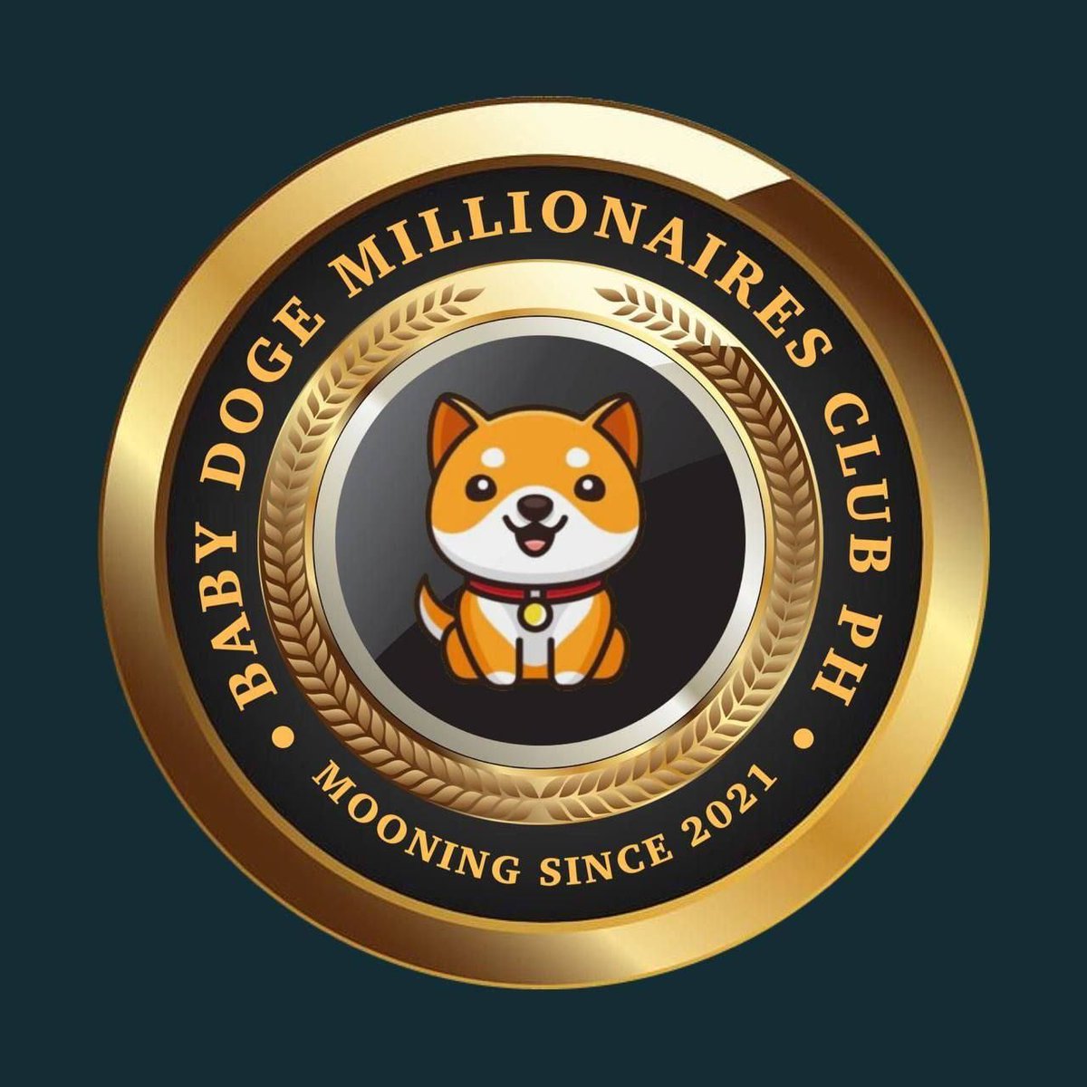 BinAtif3's tweet photo. @babydoge #BbyDogeCoin 🔥🐶🚀 https://t.co/6yelr7yL8r