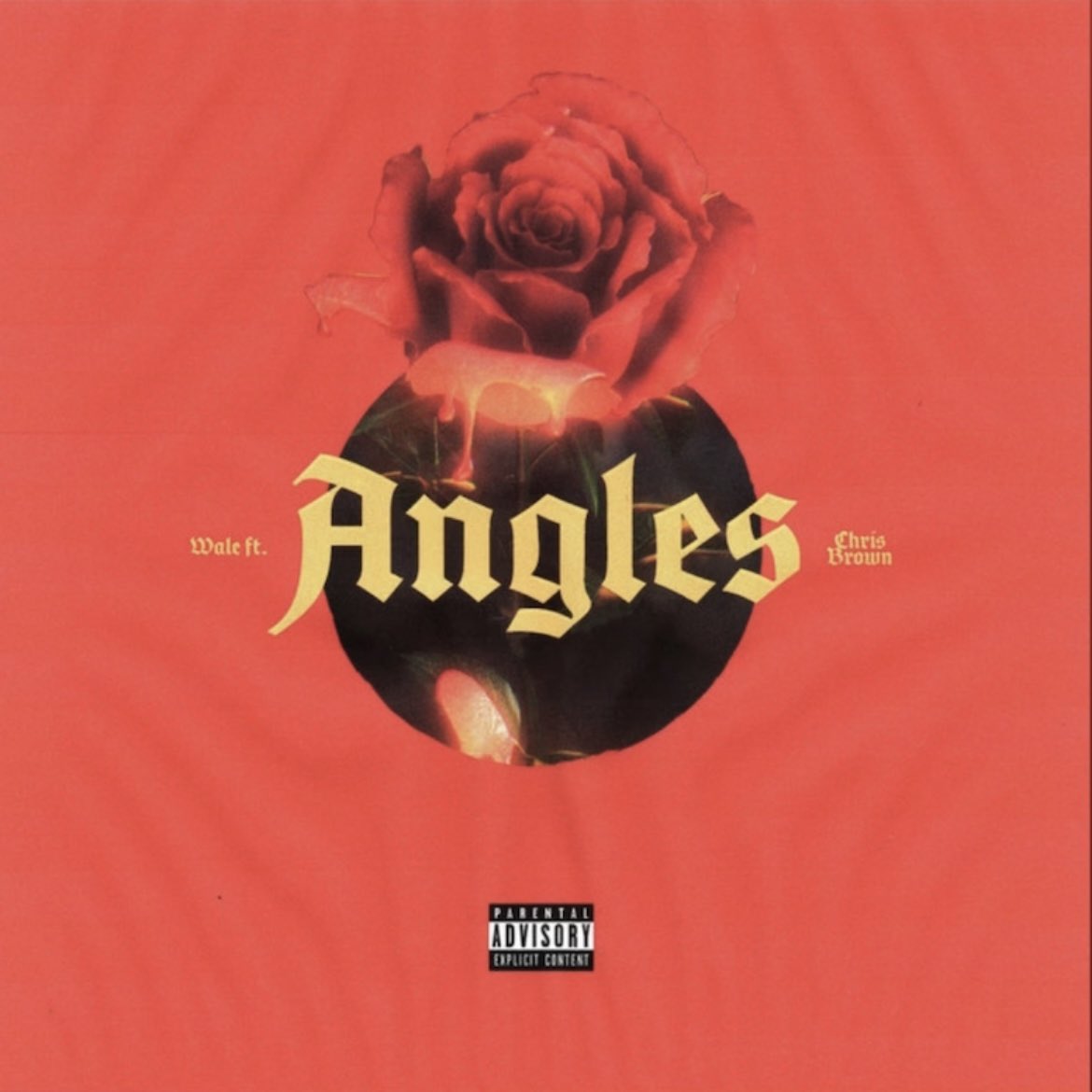 lou_xtwo's tweet photo. @Wale x @chrisbrown - “Angles” out now! 
Prod. by Lou Xtwo, SK, Hitmaka &amp; OG Parker🌹🌹 https://t.co/IsUxjyec9N