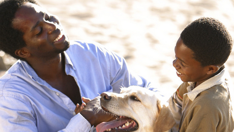 inmyqueuepod's tweet photo. Michael Dawson really represented good fatherhood even after crashing down on a spooky island on Lost! https://t.co/LJXkxQFdn8