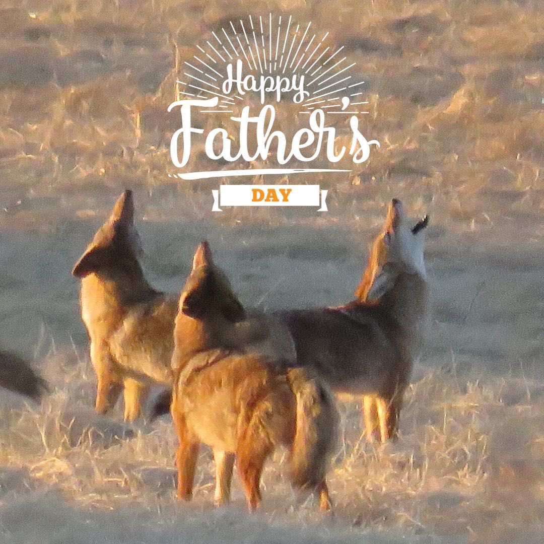 CVHS Updates tweet media