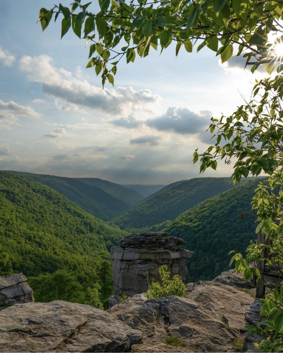 WV State Parks tweet media
