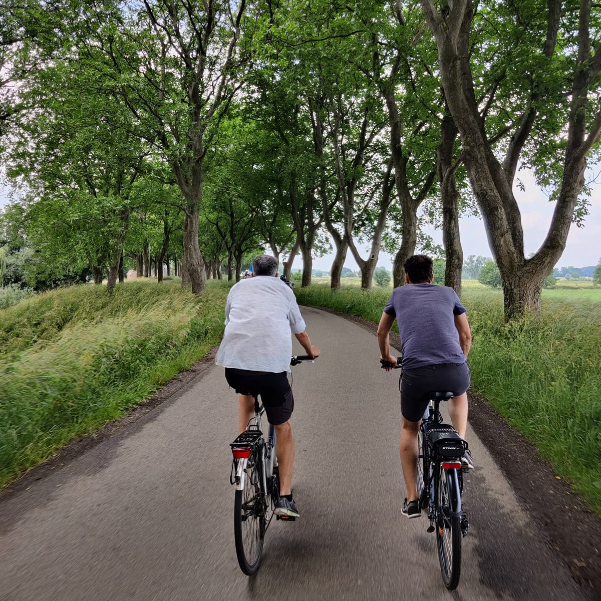 AnnemarieSchamp's tweet photo. Vandaag de 80km route van @DeMaasdijk @gemeenteoss gefietst. Bij elke kern (24 stuks) een selfie gemaakt van ons gezelschap. Een onvergetelijke gezellige fietstocht. #fietsen #recreatief #maasdijk #oss https://t.co/FwFRF8ozRu