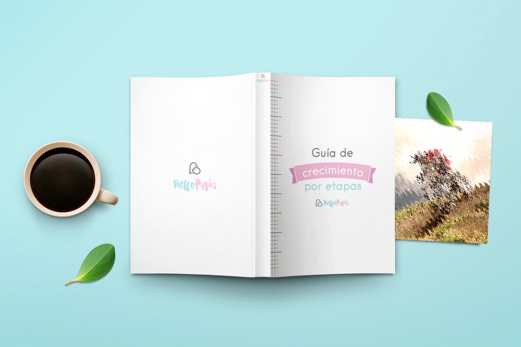 HelloPapis_'s tweet photo. Descubre cómo evoluciona tu peque en cada etapa de su vida, desde que nace hasta los 14 años, con nuestra guía de crecimiento por etapas⁠ ¡Descárgala gratis en nuestra web!⁠

#maternidad #hijos #maternity #familia #bebe https://t.co/wHYdx8XmQt