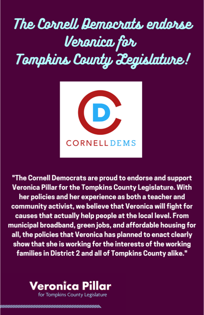 Veronica Pillar for Tompkins County tweet media