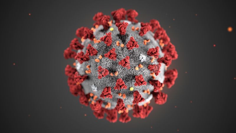Covid-19: Bactérias do intestino humano produzem compostos que inibem o vírus SARS-CoV-2 - lusa.pt/article/kSSN7S…