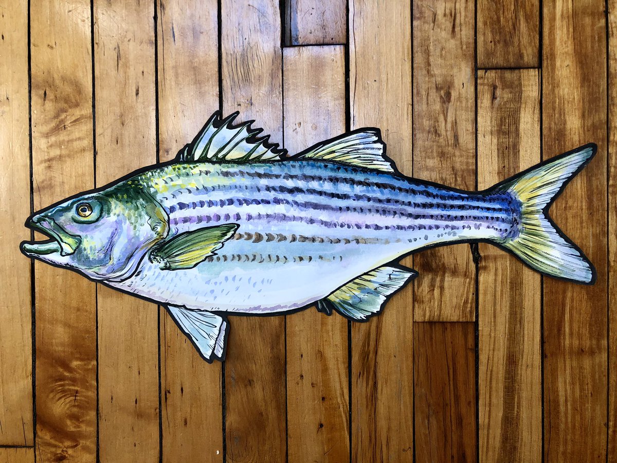 Daily Napkins tweet media