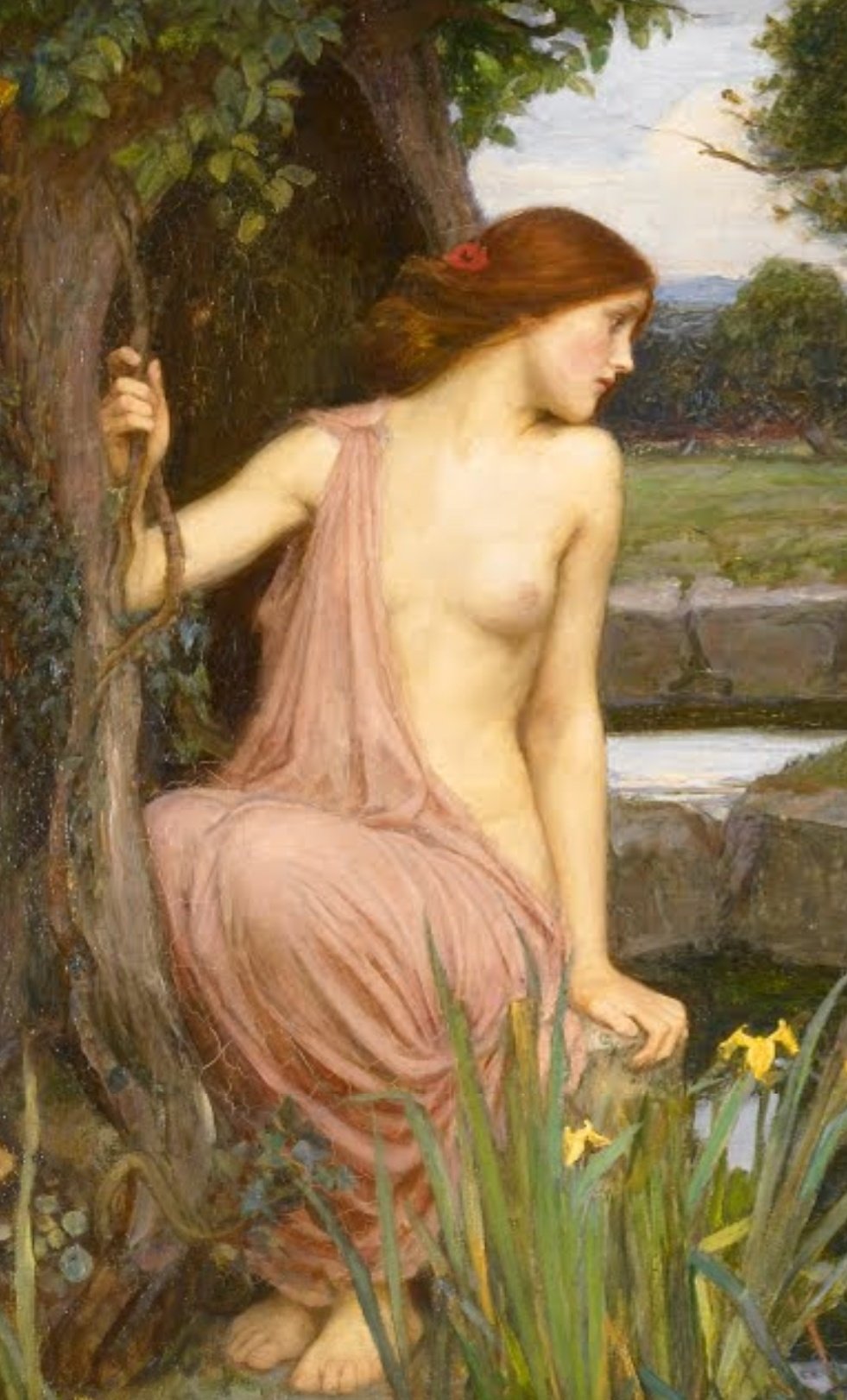 рубенс петер пауль, «диана и нимфы, застигнутые фавнами», 1638–1640. никола пуссен эхо и нарцисс. нарцисс древняя греция. «эхо и нарцисс» (1903). дафна мифология древней греции.