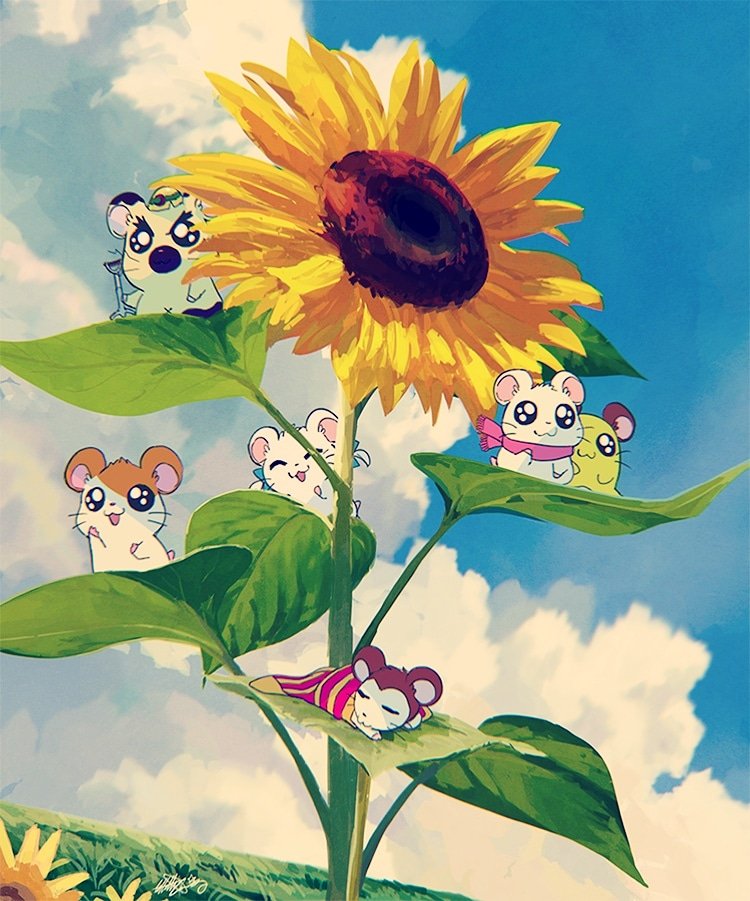 sunflower flower cloud sky outdoors no humans day  illustration images
