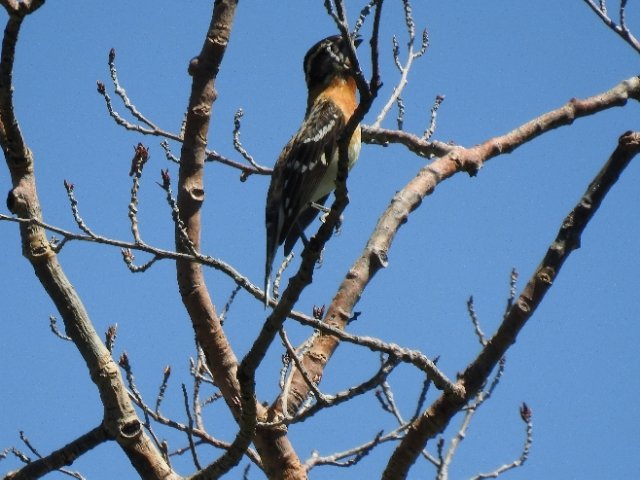 Terry Thwaites tweet media