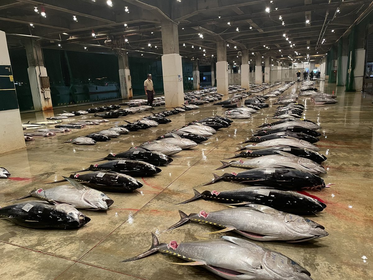 みんなの かなや シチュー 口コミ 評判 食べたいランチ 夜ごはんがきっと見つかる ナウティスイーツ みんなの かなや シチュー 口コミ 評判 食べたいランチ 夜ごはんがきっと見つかる ナウティスイーツ