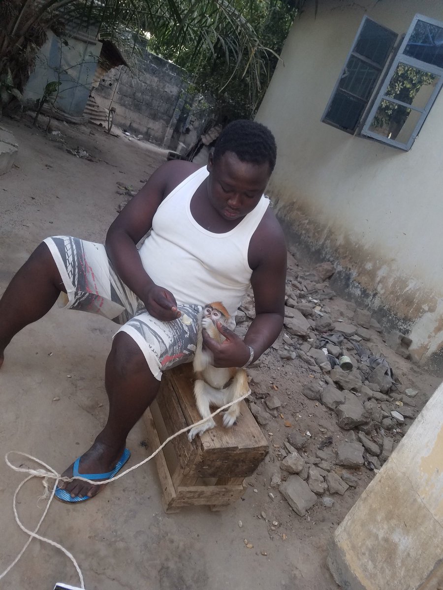 Buba (@buba51204631) on Twitter photo 