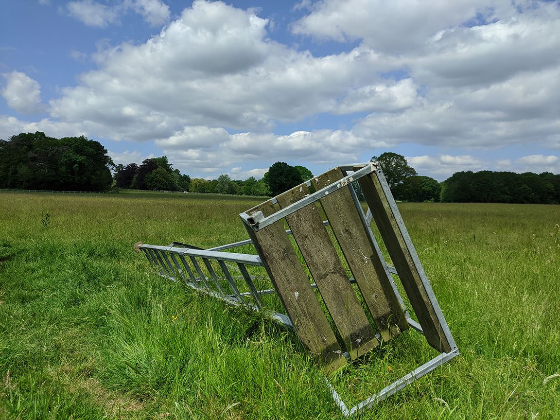 Bite Back tweet media