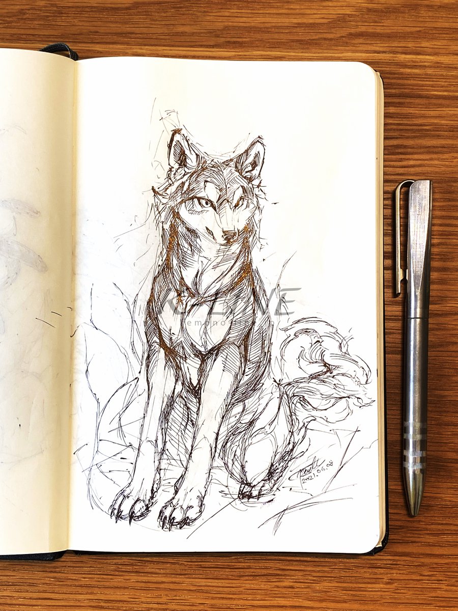 おすわり🐺 #RadysSketchbook 