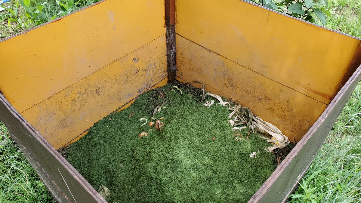 つりきっぷの芝生日記 刈った芝生はコンポストへ 芝生 コンポスト 微生物 分解 堆肥 T Co Twc4ixazlt