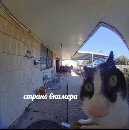 Чел отойди не видишь съёмки?