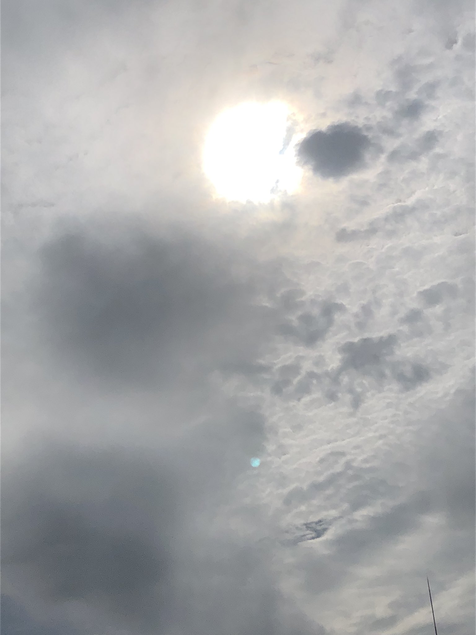 تويتر 荒木林太郎 على تويتر 降るっちゃ降りそうだし 降らないっちゃ降らなそうな空をにらみ 冬の布団を片付けるチャンスを伺う朝 T Co Pi92fiz8fq