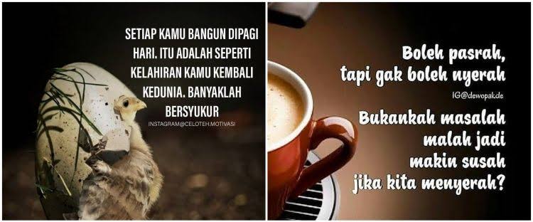 Semangat Senin ☕☕

Makan untuk hidup. 
Hidup bukan untuk makan.

Salam Akal Sehat. 
#KM50ApaKabar
#KM50ApaKabar