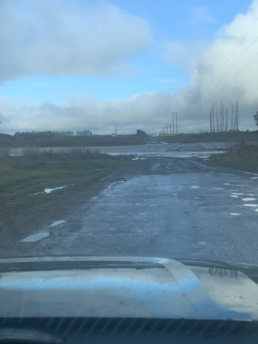 GeraldEmming's tweet image. I think i turn around