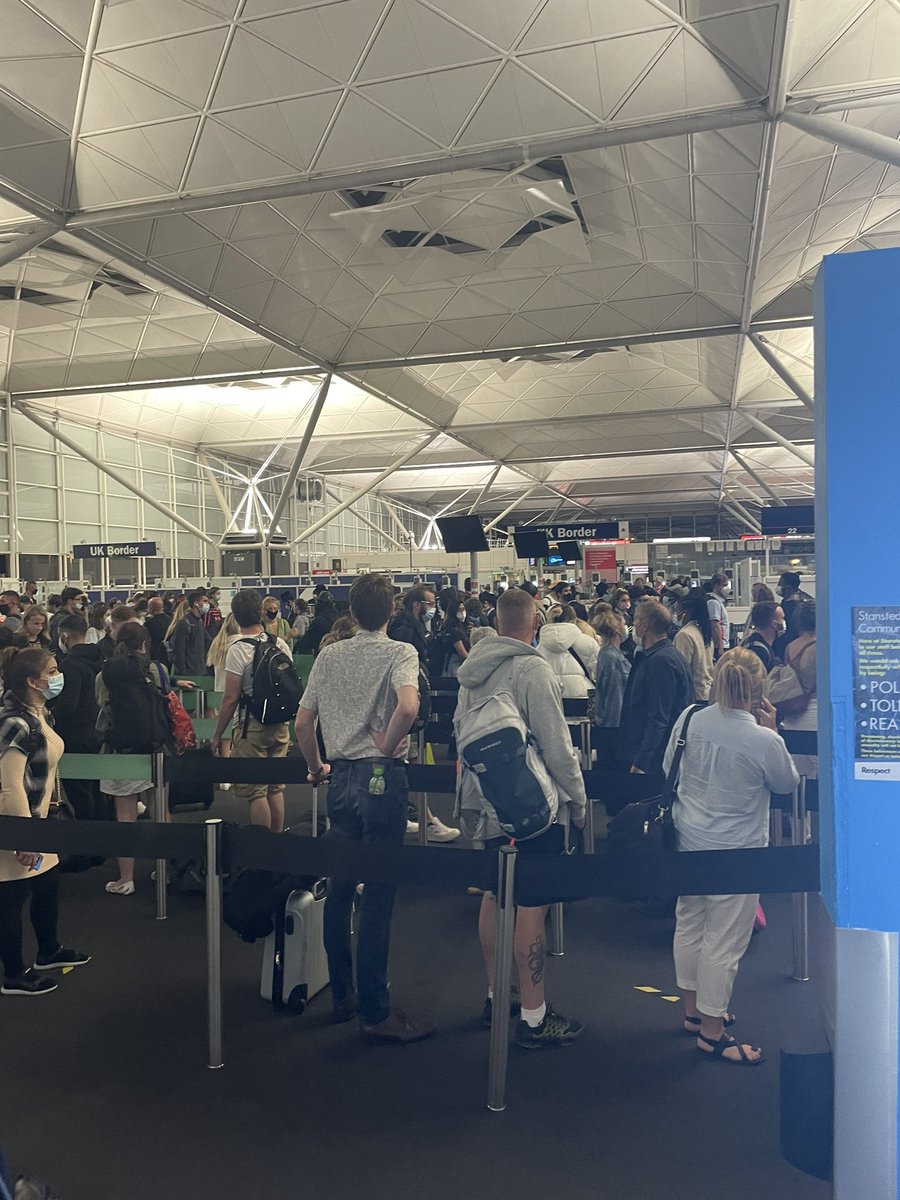 Amy Gander tweet media