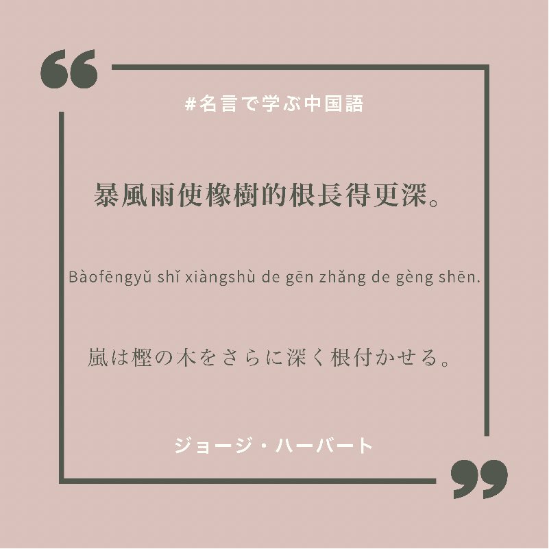 Gymnese みんなの中国語会話ジム 名言で学ぶ中国語 暴風雨使橡樹的根長得更深 嵐は樫の木をさらに深く根付かせる ジョージ ハーバート 名言で学ぶ中国語