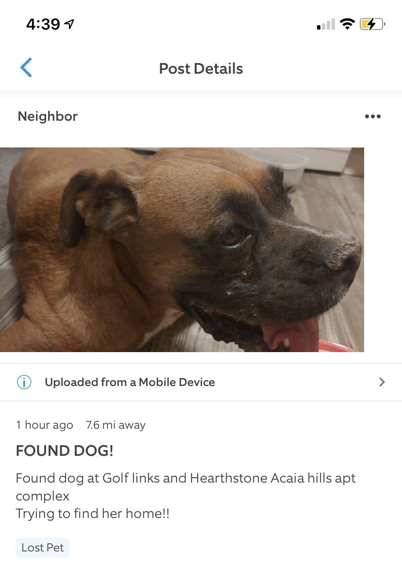 Tucsonlostpets's tweet photo. @Mando_mom_1128 Is this her? Just saw this on Neighbors: https://t.co/q1Ja3YfmHd https://t.co/FNPZVFdOxa