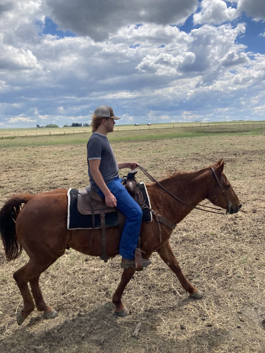 David Sammon Rodeo David Sammons (@SamLandCC) / Posts / X