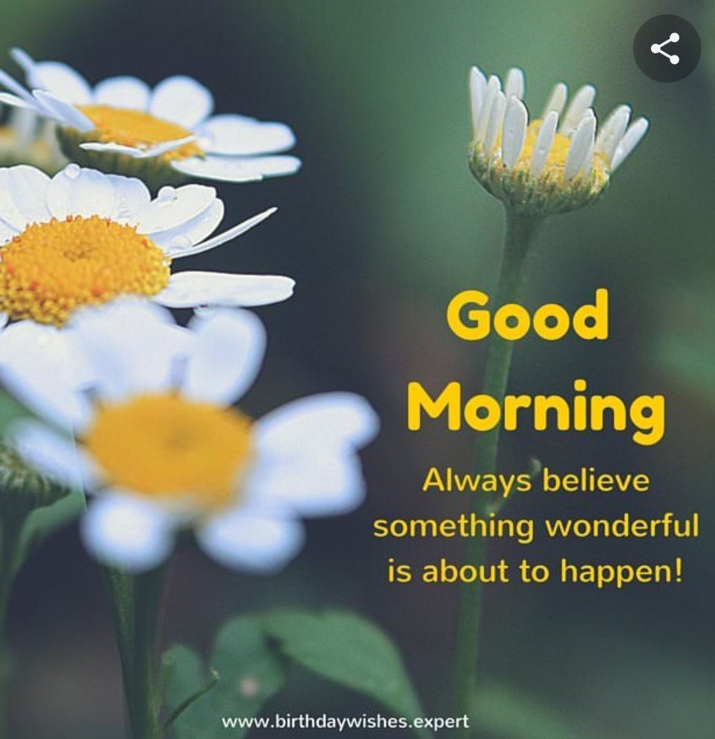 hazaarkhwaishen's tweet image. #GoodMorningEveryone #beliveinyou
#wonderful #haveablessedday #loveit
#HappeningNow #trustyourself #beyou