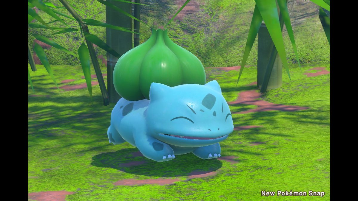 s00phers's tweet photo. #NewPokemonSnap #NintendoSwitch https://t.co/OFxM1IO9U3