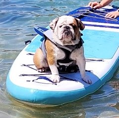 Taylor Winkel tweet media