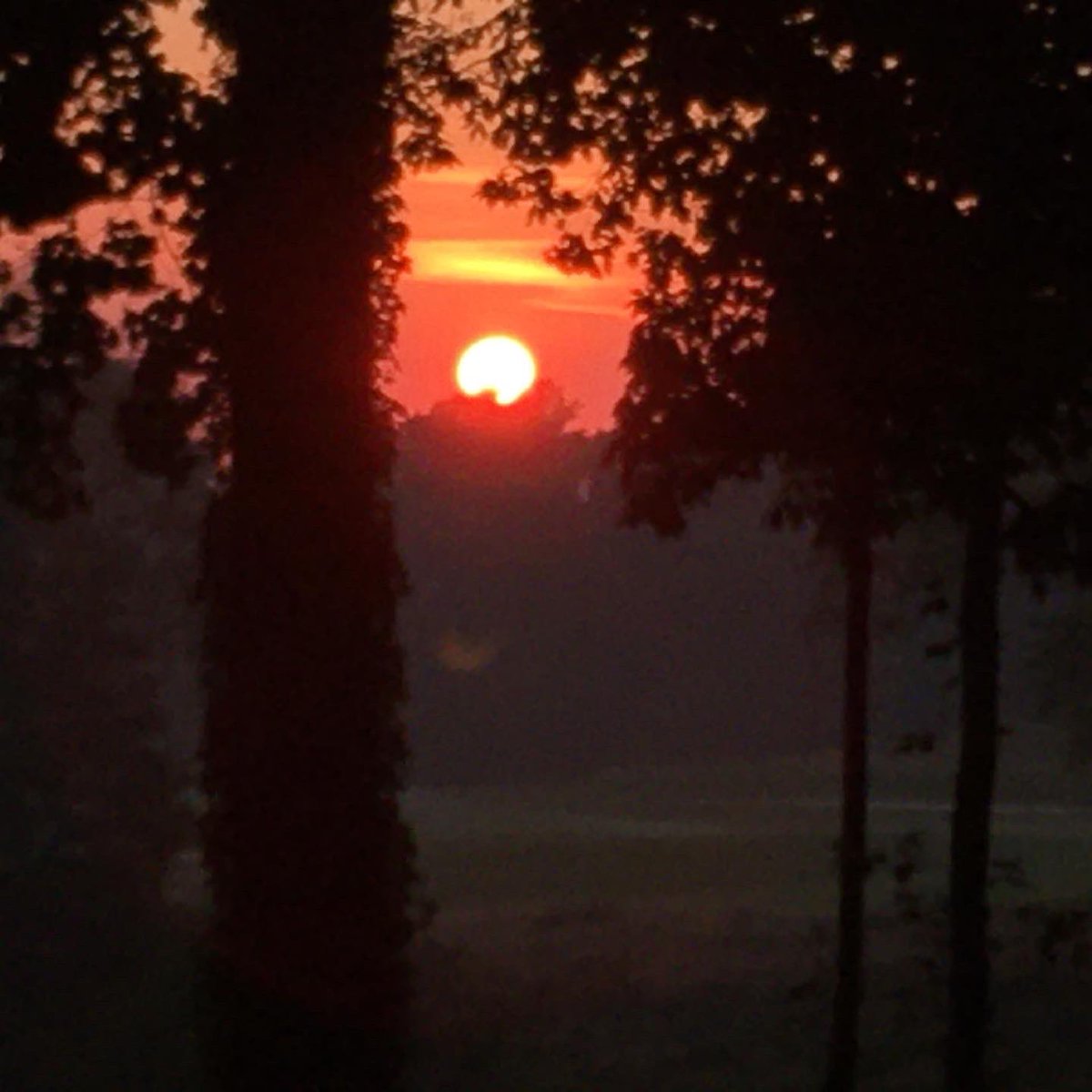 CollieCrusader's tweet photo. ☀️ Happy Summer Solstice! We are celebrating the longest 🌞 day of the year and the beginning of summer! We got up just before sunrise 🌅 and snapped a few #sunrisepics to celebrate #summersolstice
🌞
Happy winter ❄️ to our friends down under! 🌏 https://t.co/W0Ki1warMc
