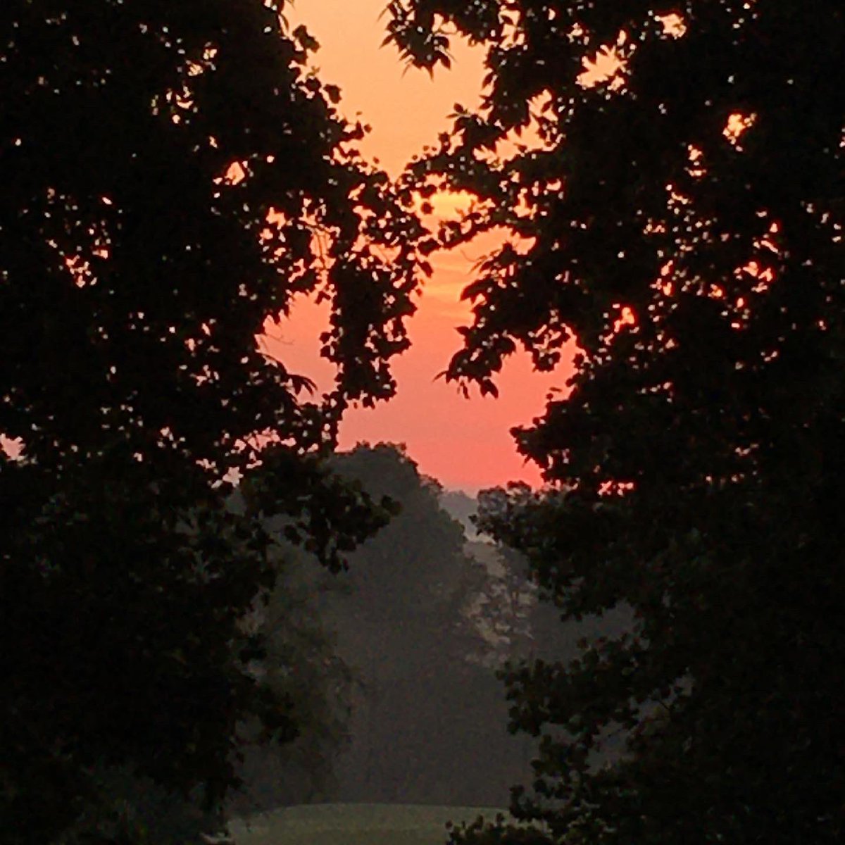 CollieCrusader's tweet photo. ☀️ Happy Summer Solstice! We are celebrating the longest 🌞 day of the year and the beginning of summer! We got up just before sunrise 🌅 and snapped a few #sunrisepics to celebrate #summersolstice
🌞
Happy winter ❄️ to our friends down under! 🌏 https://t.co/W0Ki1warMc