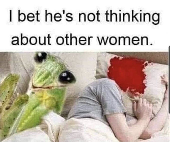 The SW/ the last saved meme in my camera roll tbf I often feel like a female preying mantis :p. https://t