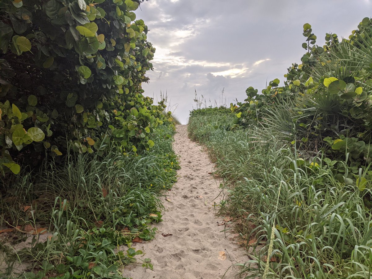 JasonRoss70's tweet photo. #HappyFathersDay had a chance early this morning to go hang out at the beach for a I headspace time.
Then just hanging out with my knuckle head.. #OC13 https://t.co/QCoxgpygr6