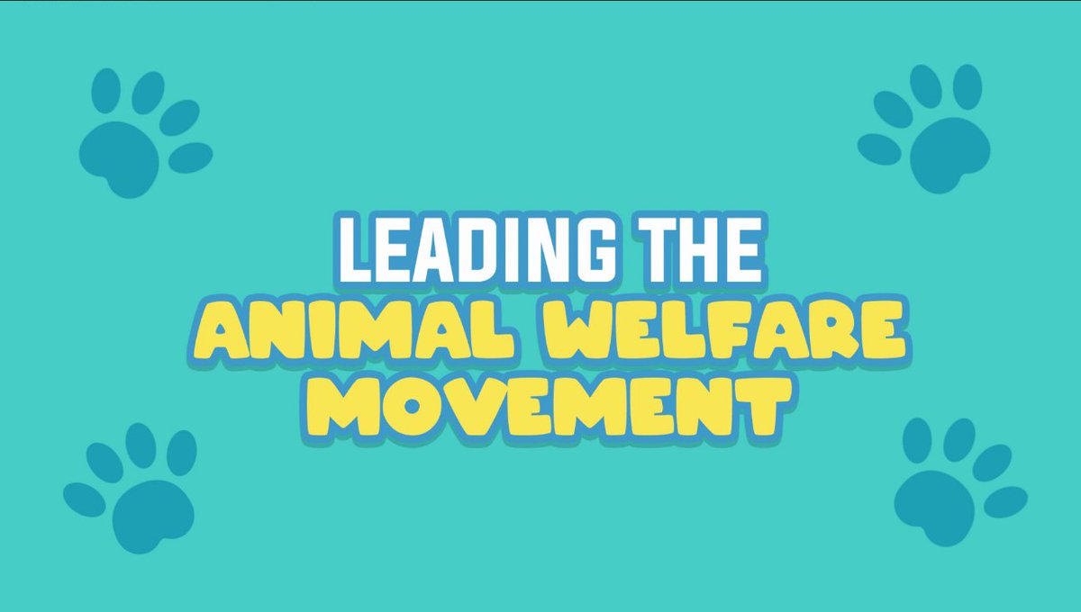 ShihTzuToken's tweet photo. (1/2) In honor of @CryptoWendyO and her selflessness, we are going to DONATE $1000 to an animal charity in need! 

We serve those that truly need help and are truly sincere with their intentions both in the U.S. and around the world!

#SHIH #WENDYO #SHIB #AKITA #KISHU #DOGE #HOKK https://t.co/AxvGyspFAg