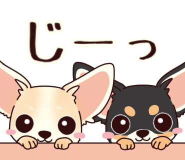 チワワのtwitterイラスト検索結果 チワワのtwitterイラスト検索結果