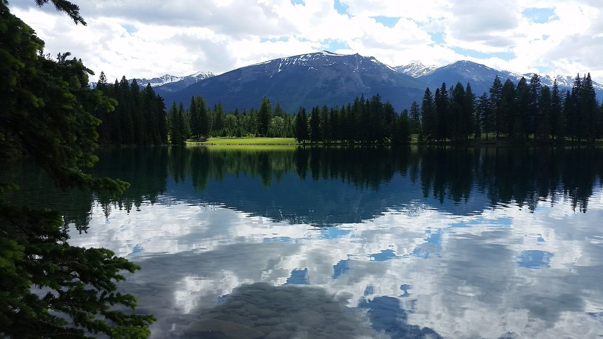 “Time spent amongst trees is never time wasted.” – Katrina Mayer

#sundayreflections #nature #rvlife #rvlifestyle #gorving #rvrental #rvplusyou #homeonwheels #homeiswhereyouparkit