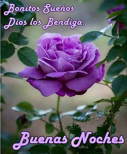 Estrellita's tweet - Estrellita's tweet -