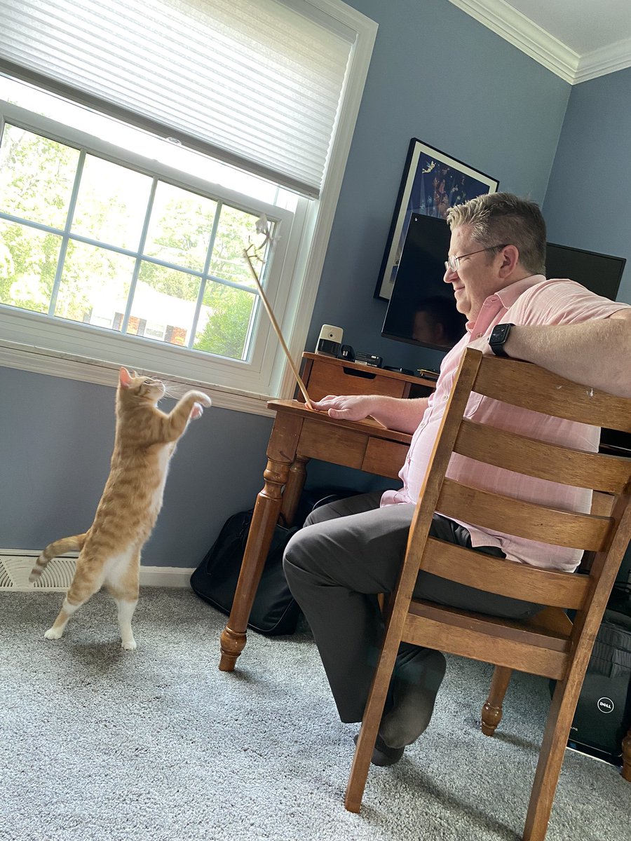 AmyGoohsHard's tweet photo. He got to sing at church. He got to eat a feast. He got to play with #BadBert. He got to take a nap. He got to watch Luca. I think Kevin Hardman had a happy Fatherβs Day. We love him (a smidgeon). β€οΈ #TherapyKitty #FathersDay2021 @KMHardman https://t.co/66WURs9n3h