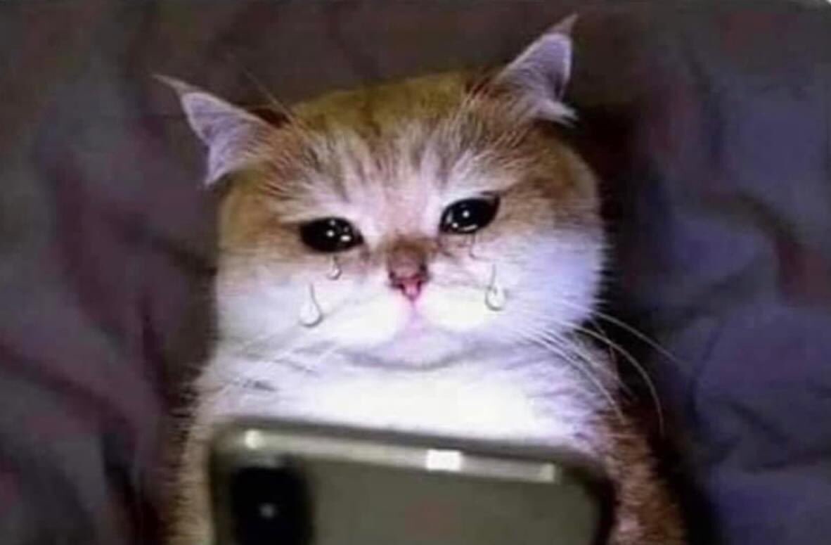 Viendo películas y al mismo tiempo descansando los párpados 😅😂🤣, image size:1182x775