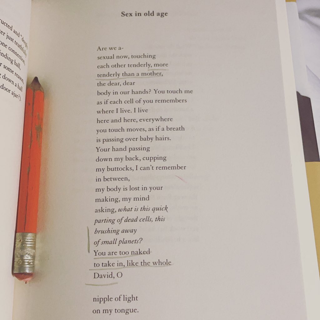 Really like this poem by Toi Derricotte and plan on brushing aside small planets before bed and love this contractor pencil I found in another book for which I will soon need a fat pencil sharpener and nudity sculptural or not is so much to take in