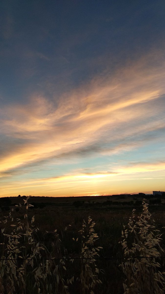 abelhg_96's tweet photo. We could make the sunsets unforgettable. https://t.co/OSV9z8RzHK