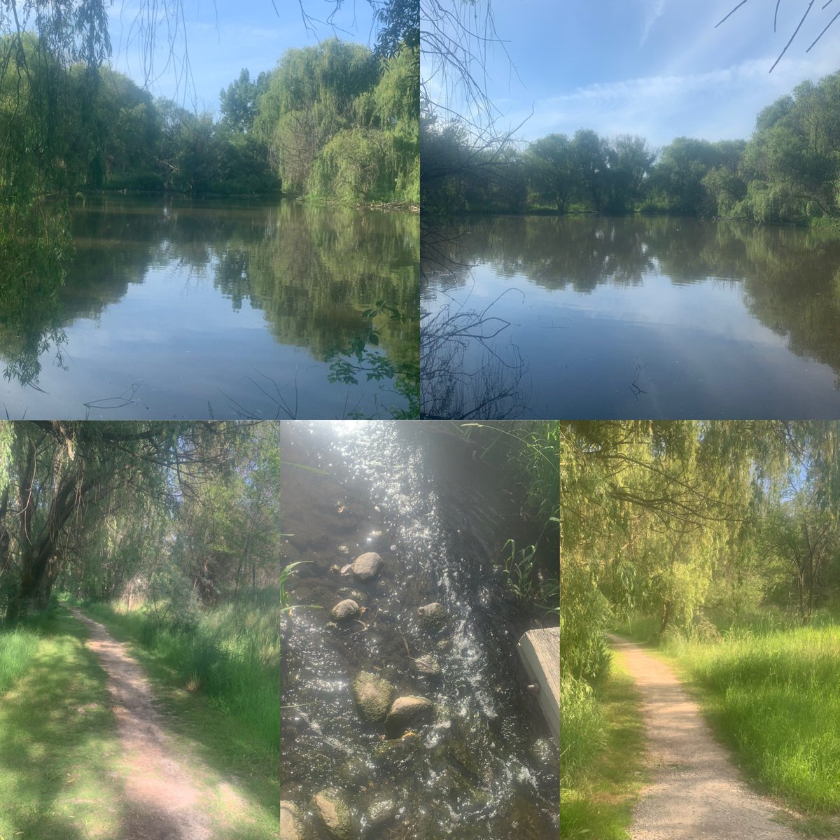 bluepink8488's tweet photo. Day #150 Walk Tonight Duck Pond In Kelowna Also Today Day#14 Virtual Torch Run From June 7 to 20 Last Day Today @sobcsociety @BCLETR #VirtualBCLETR #SOBCChallengeGames #Region2 https://t.co/4sl7L6r86p