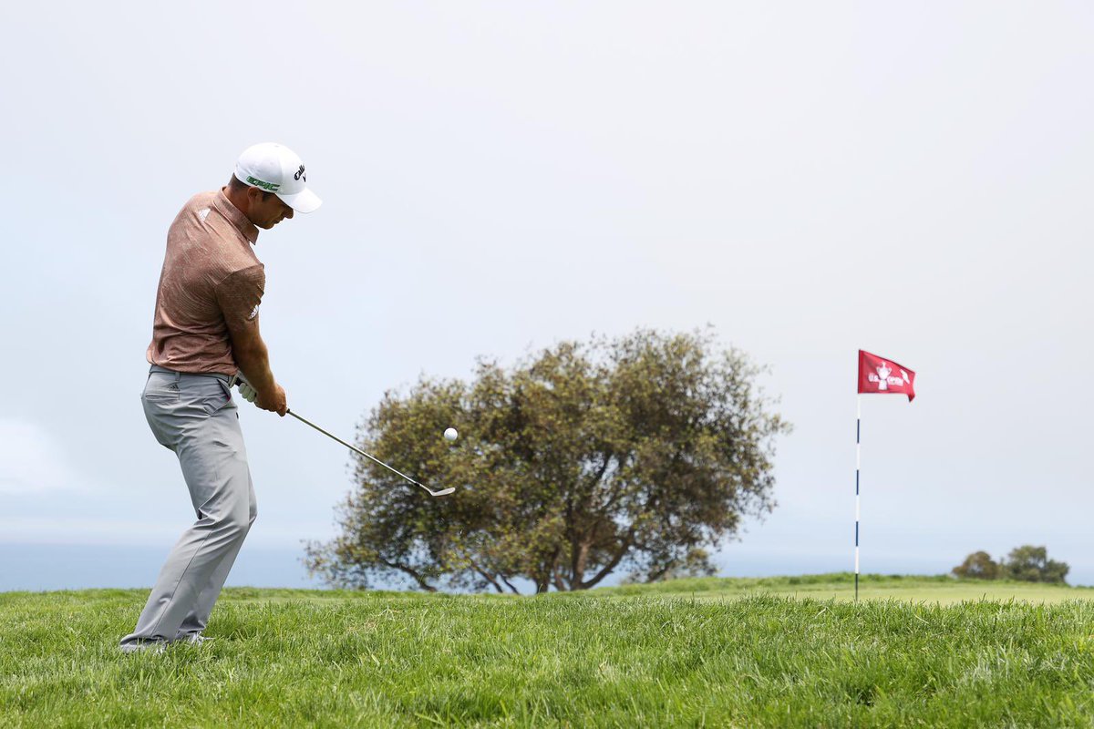 Guido Migliozzi tweet media