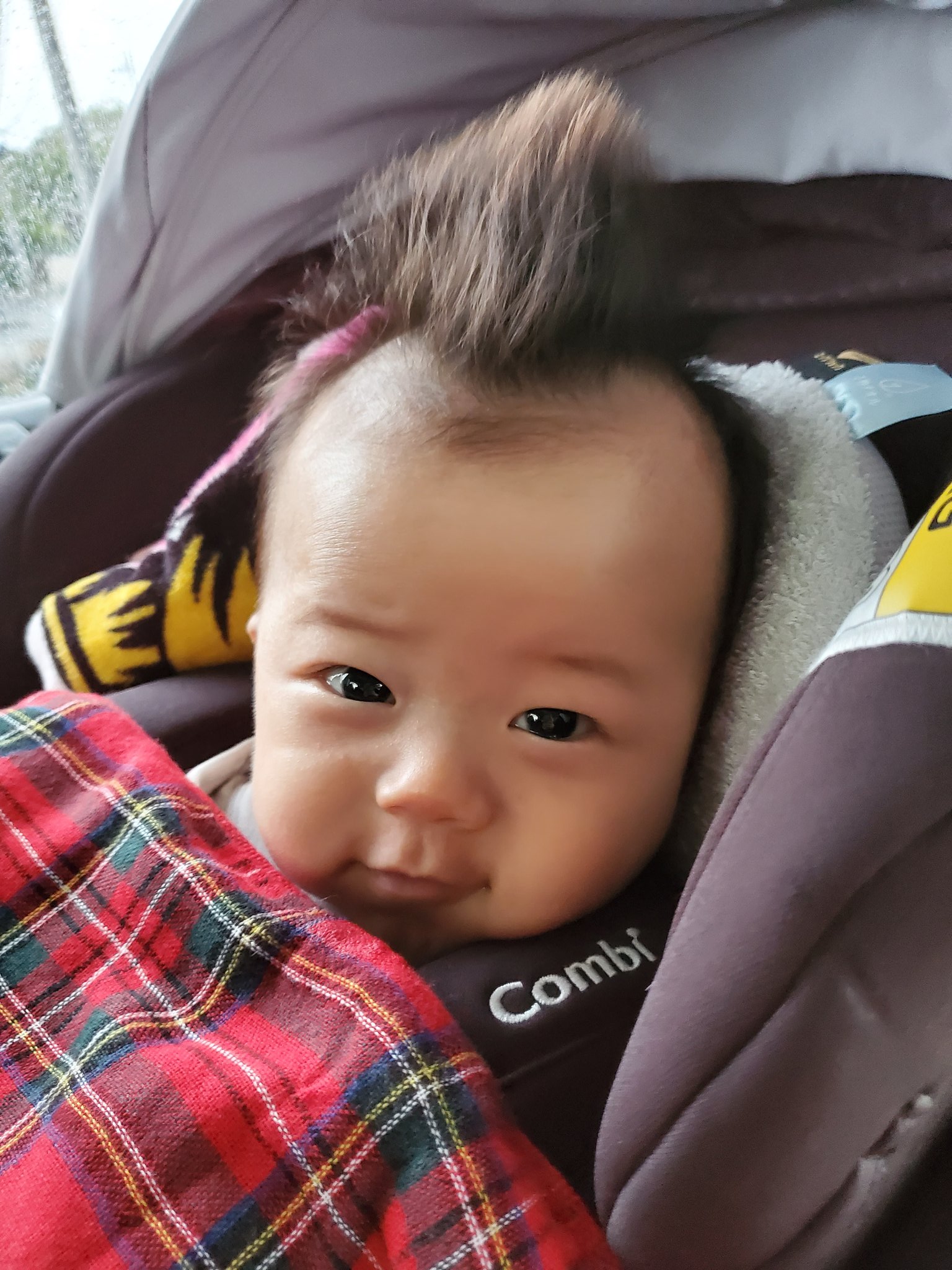 Namnam Namnam5 Twitter