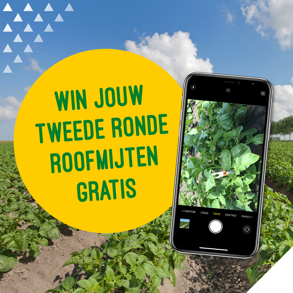 Agrifirm tweet media