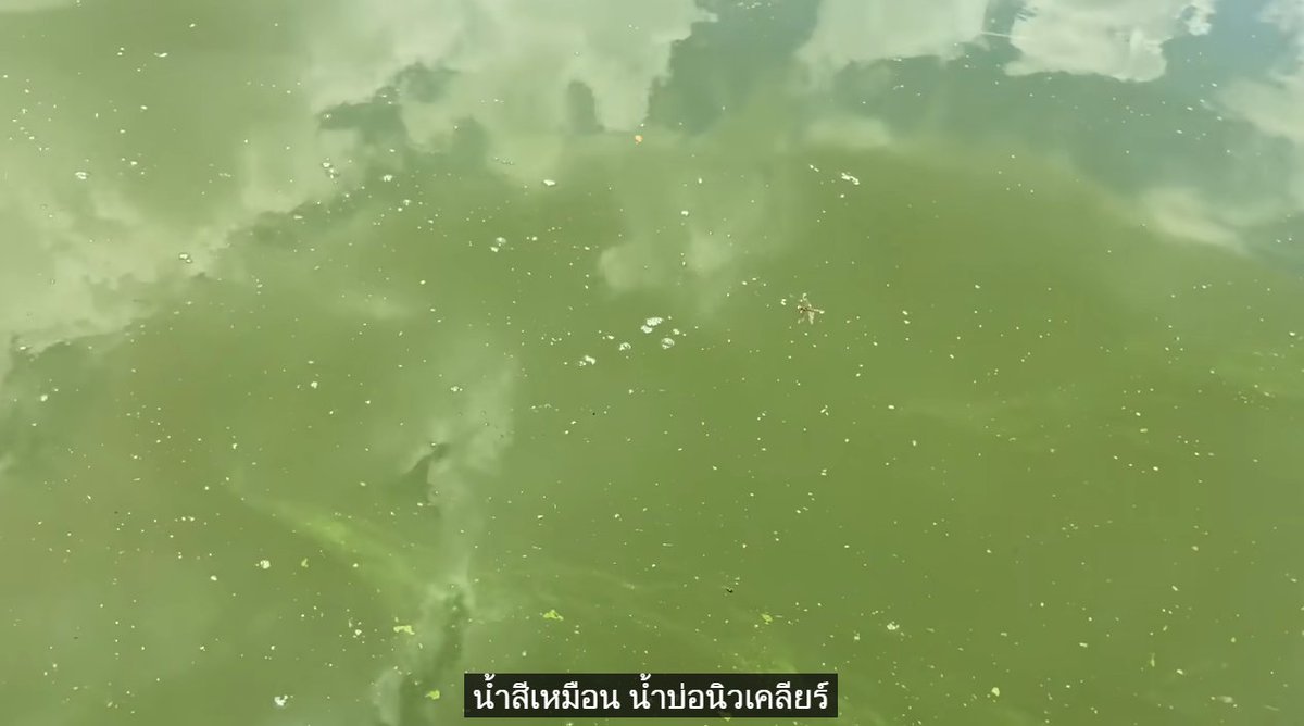 ฮันนต.: Saw Green Day&Lady Gaga tweet media