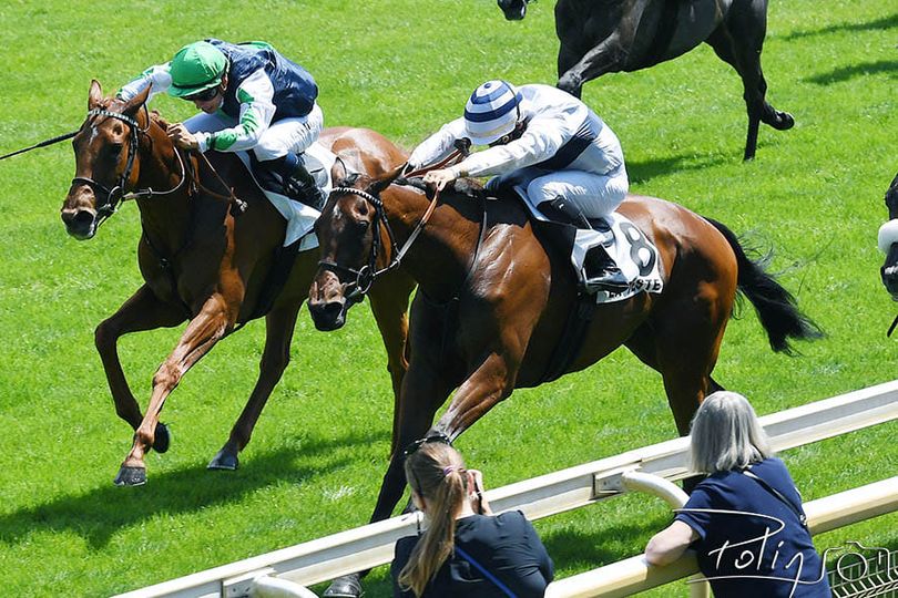 🏆Belle victoire pour 🐎VALLEE D'ENFER à LA TESTE-DU-BUCH le 18.06.21
O : Axelle Nègre de Damien DE Watrigant
T : Damien DE Watrigant
J : Mickael Forest
(crédit Photo R.POLIN)