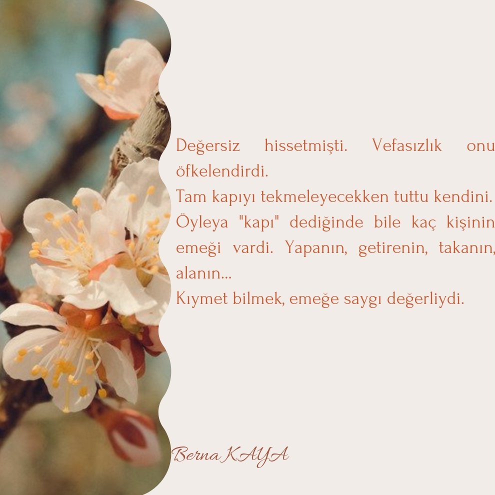 Özüm Berna Kaya (@berna_kaya) on Twitter photo 