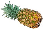 Het eten van friszure producten zoals fruit kan helpen om dun waterig speeksel aan te maken. Zorg hierbij dat je goed kauwt. Je leest er meer over in ons artikel over ananas en papaja voedingenkankerinfo.nl/is-het-eten-va… #voedingkanker #taaislijm