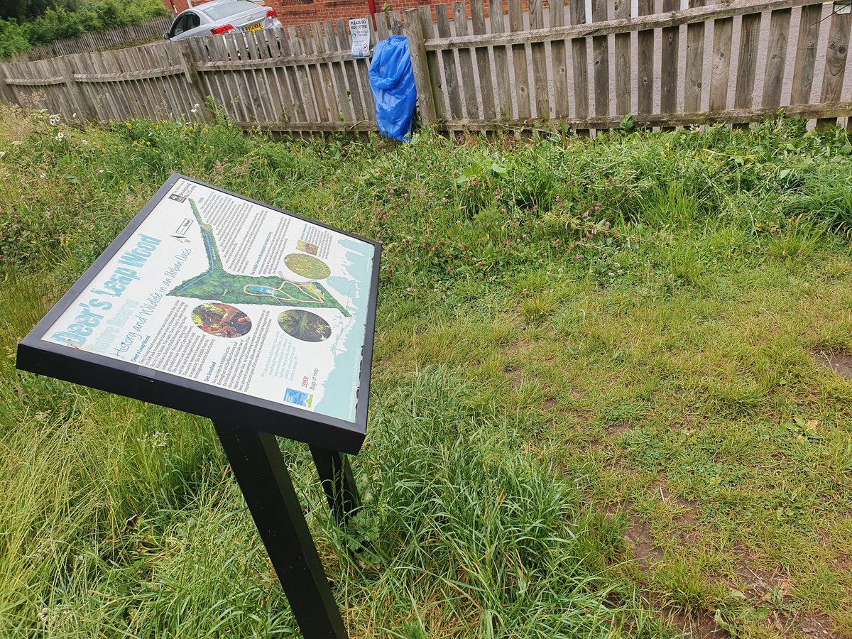 deersleapgroup's tweet photo. Deer's Leap Wood gets a little touch of love and care to make it more presentable on entering. 
#CleanerGreenerStreet #CleanerBrum 
#Lovewhereyoulive #CommunityMatters #Deersleapwood  #volunteers https://t.co/lnpL86Hnz9